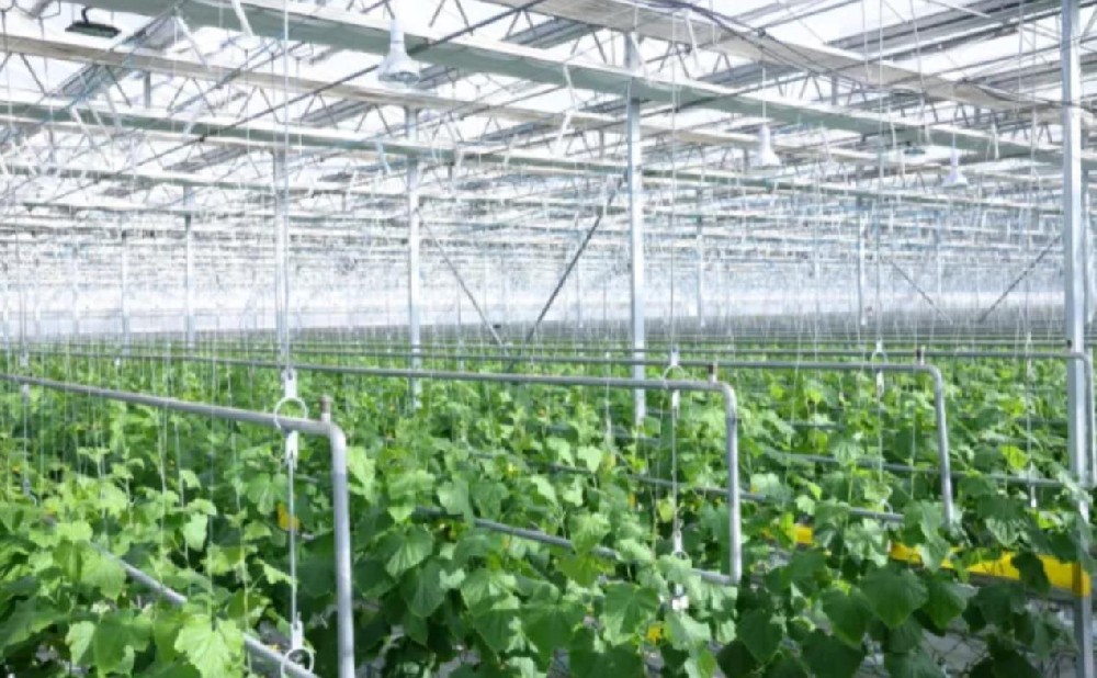 “十四五”时期推动国家现代农业产业园发展的新思路与新举措