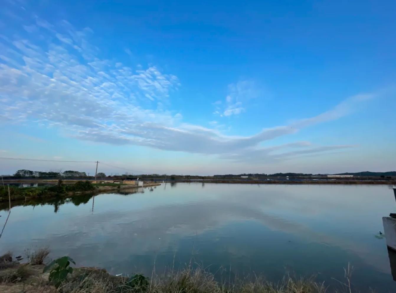 1640314309172110.jpg QQ浏览器截图20211224104539.jpg