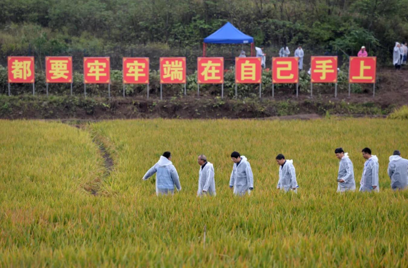 1640314320121372.jpg QQ浏览器截图20211224104853.jpg