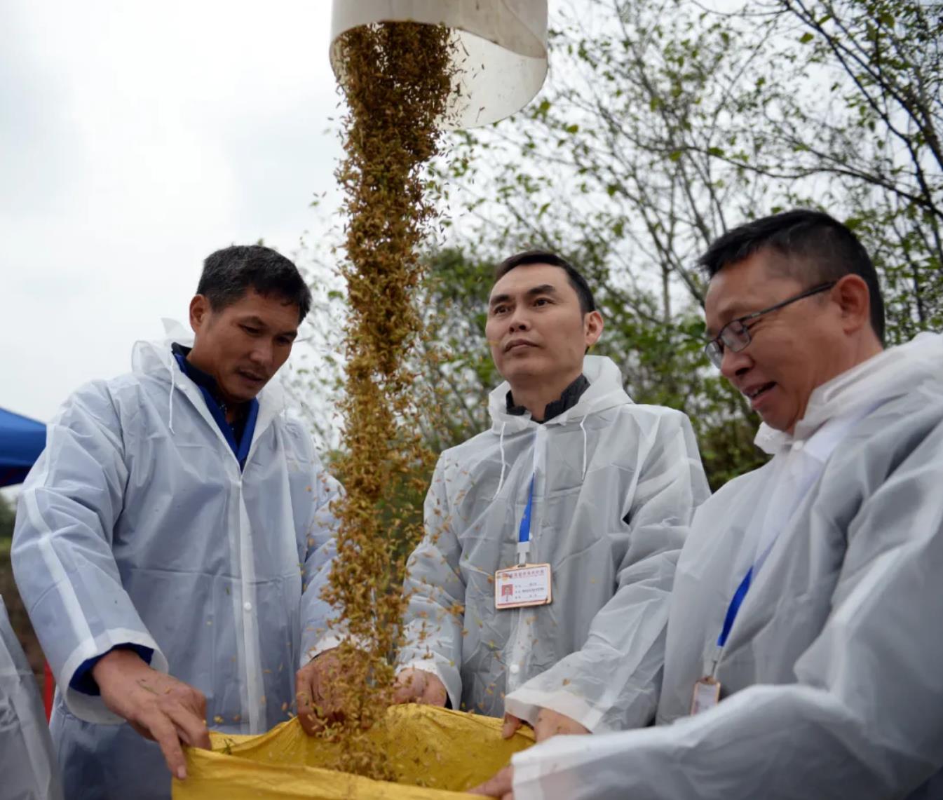 1640314332122504.jpg QQ浏览器截图20211224104907.jpg