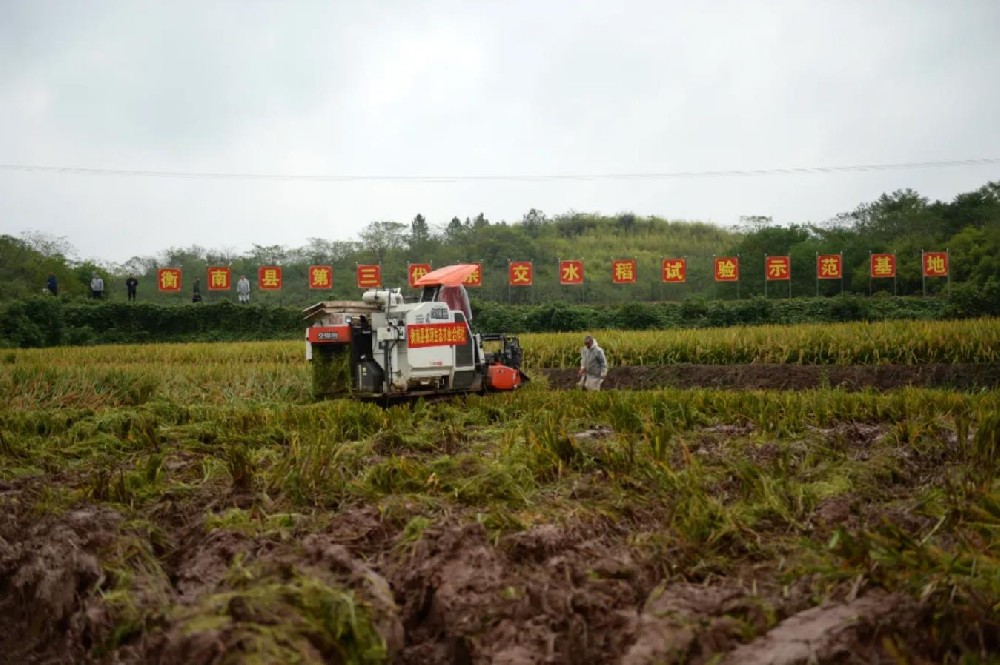 袁延文：狠抓农业“五化” 赋能乡村振兴