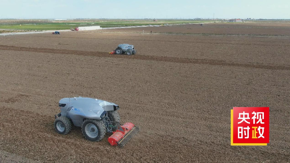 走进山东省黄河三角洲农业高新技术产业示范区——“盐碱地上长出了‘金疙瘩’！”