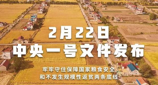 重磅！2022年中央一号文件发布