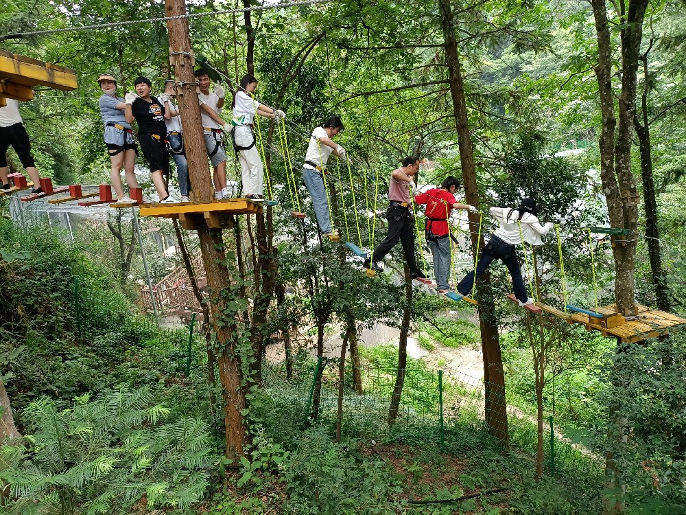 丛林穿越孤勇者