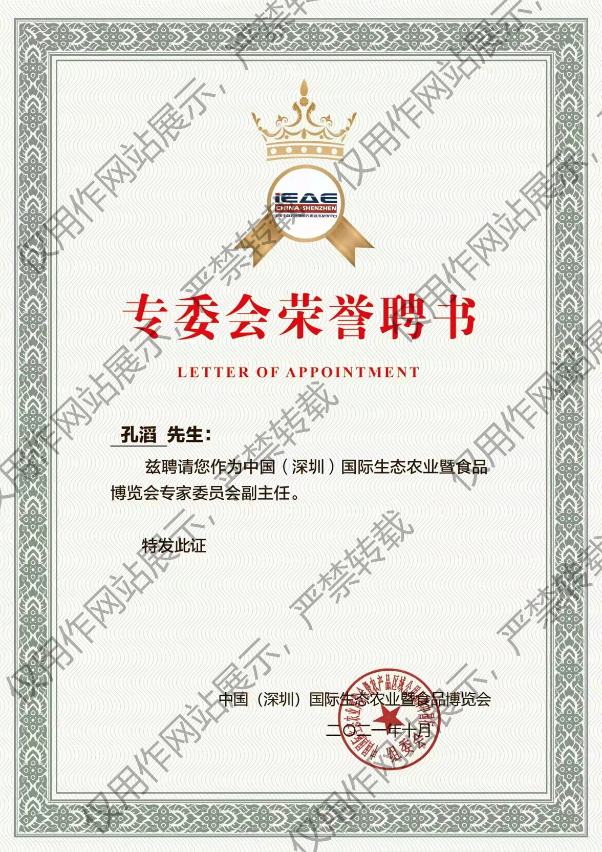 IEAE专家委员会副主任