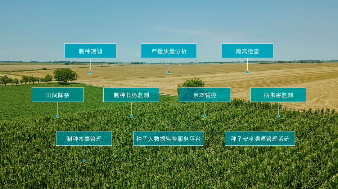 图片3.png