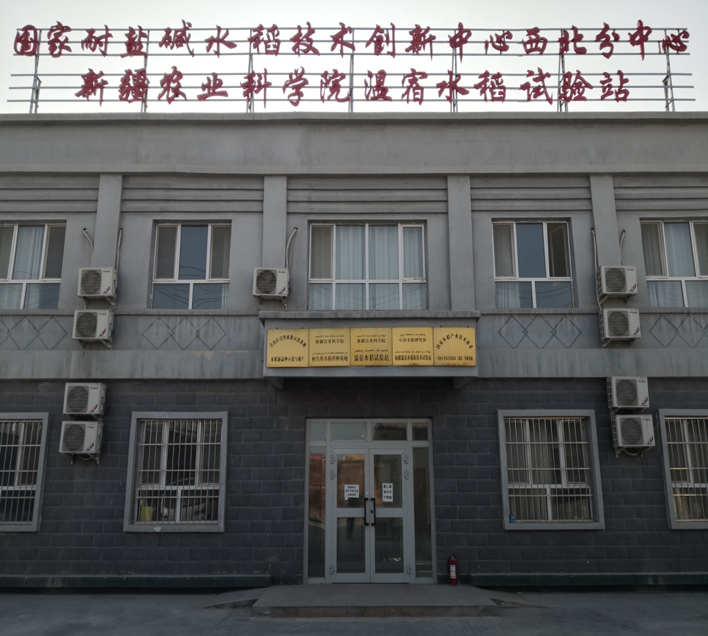 新疆温宿.png