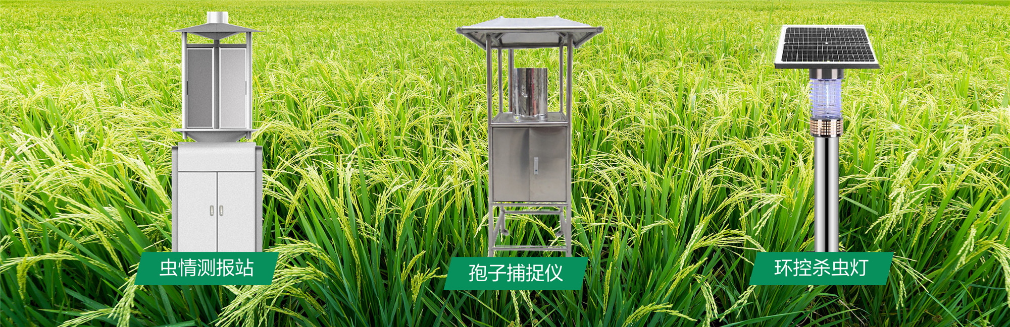 病虫灾害.jpg